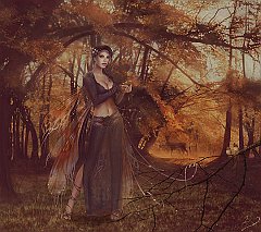 Fantasy (485)